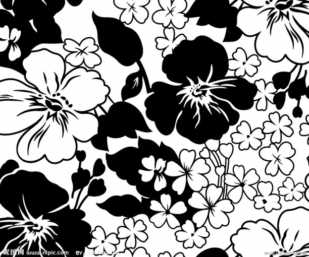 时尚黑白花纹贴图_-设计本3dmax材质库