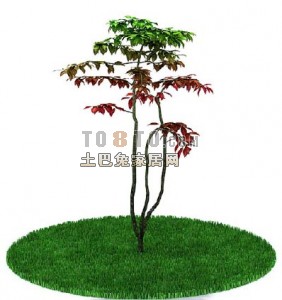 室外植物树3d模型下载