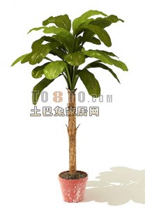 室内树植物3d模型下载