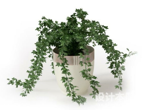 盆栽植物3d模型下载
