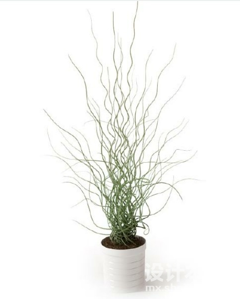 盆栽植物3d模型下载