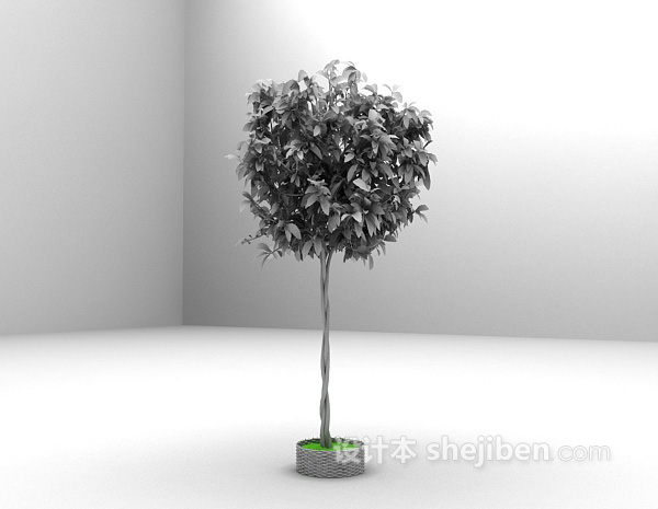 设计本室内盆景植物3d模型下载