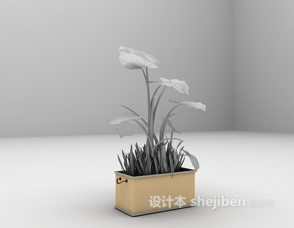 免费阔叶植物盆景3d模型下载