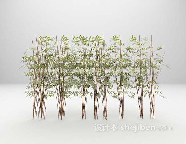 竹植物免费3d模型下载