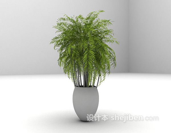 免费植物盆栽推荐3d模型下载