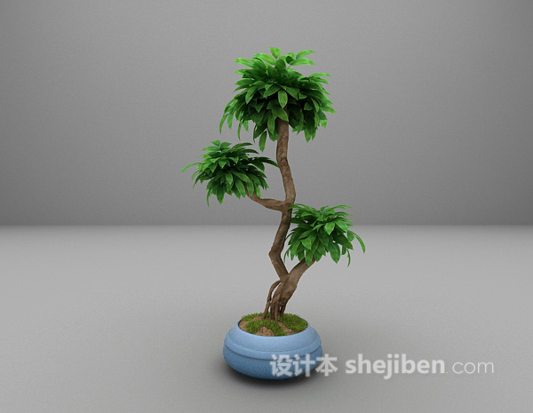 绿色植物免费3d模型下载