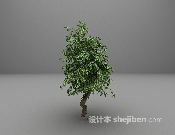 绿色植物推荐3d模型下载