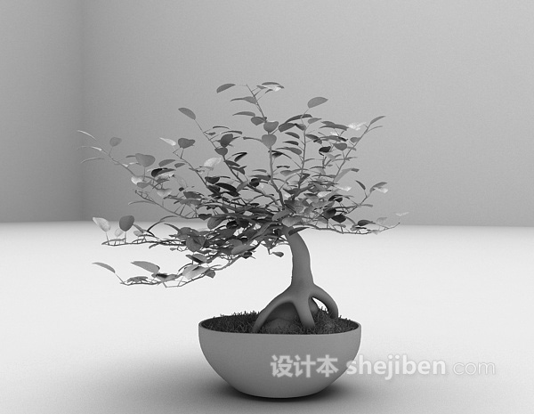 设计本免费盆景植物3d模型下载