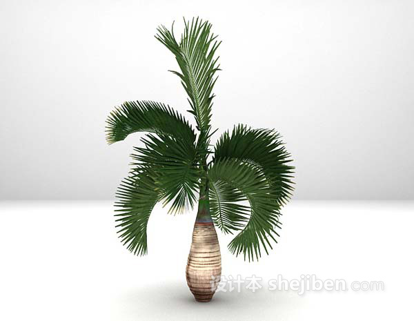 棕榈树3d模型下载