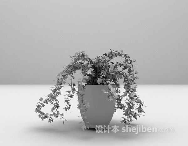 藤类植物盆栽3d模型下载