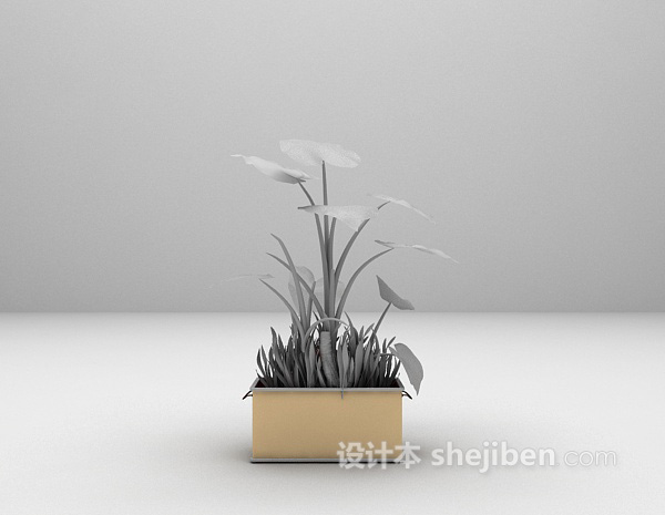 阔叶植物盆景3d模型下载