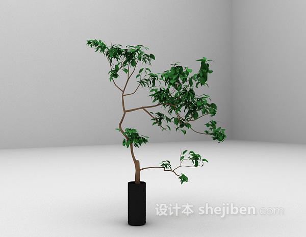 免费植物盆栽欣赏3d模型下载