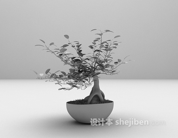 免费盆景植物3d模型下载