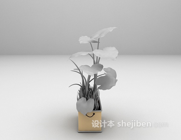 现代风格阔叶植物盆景3d模型下载