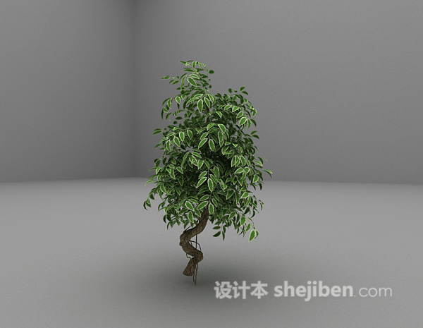 免费绿色植物推荐3d模型下载