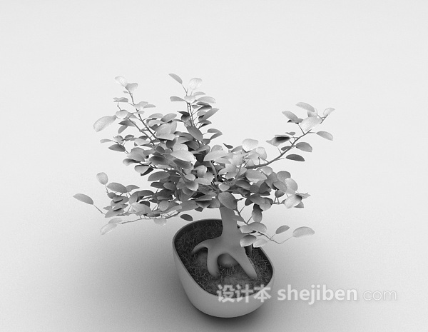 现代风格免费盆景植物3d模型下载