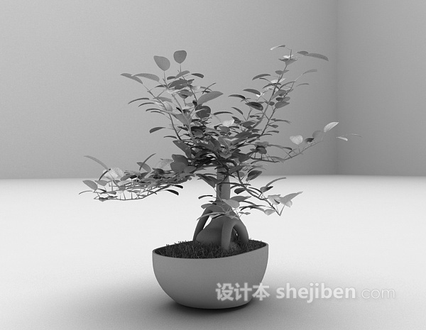 免费免费盆景植物3d模型下载