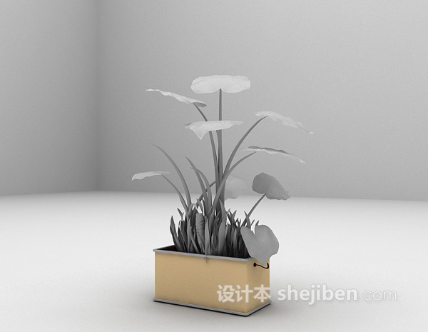 设计本阔叶植物盆景3d模型下载