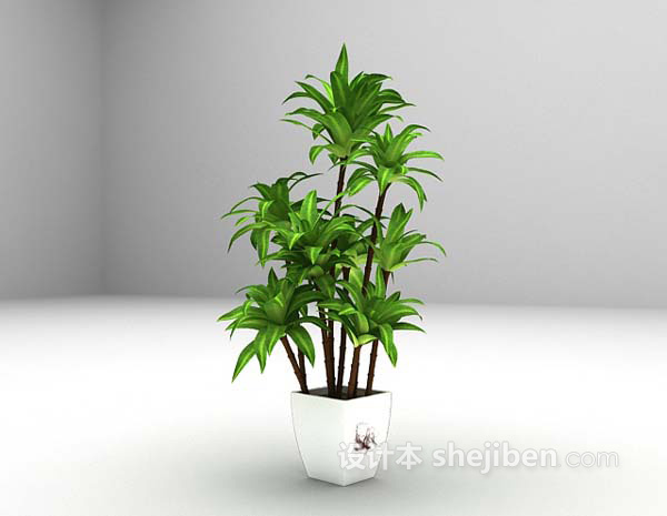 免费绿色植物3d模型下载