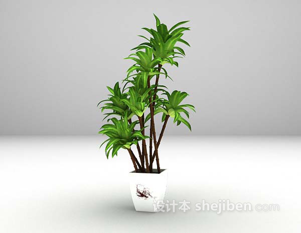 现代风格绿色植物3d模型下载