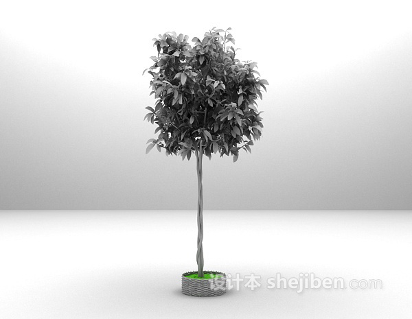 室内盆景植物3d模型下载