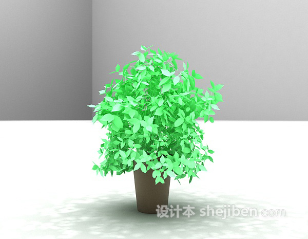免费室内小叶绿植3d模型下载