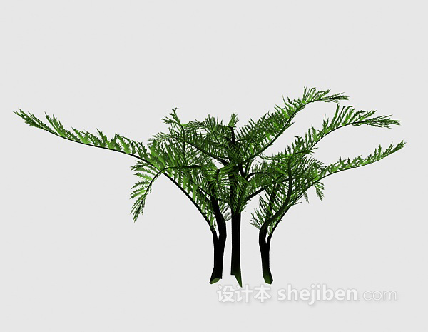 免费蕨类植物3d模型下载