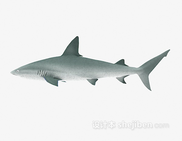 大鲨鱼3d模型下载