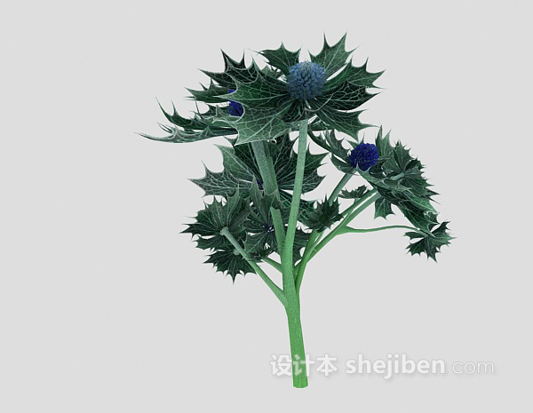 现代风格室外大叶植物3d模型下载
