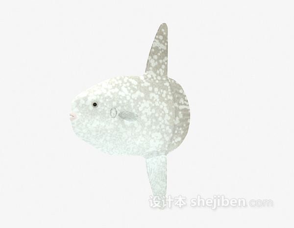设计本海鱼类欣赏3d模型下载