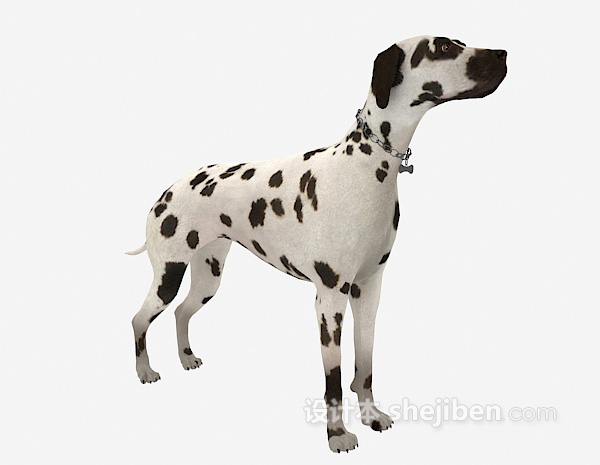 设计本斑点狗动物3d模型下载