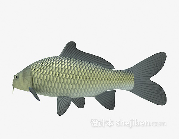 免费青色的鱼3d模型下载