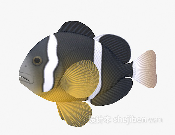 设计本条纹鱼3d模型下载