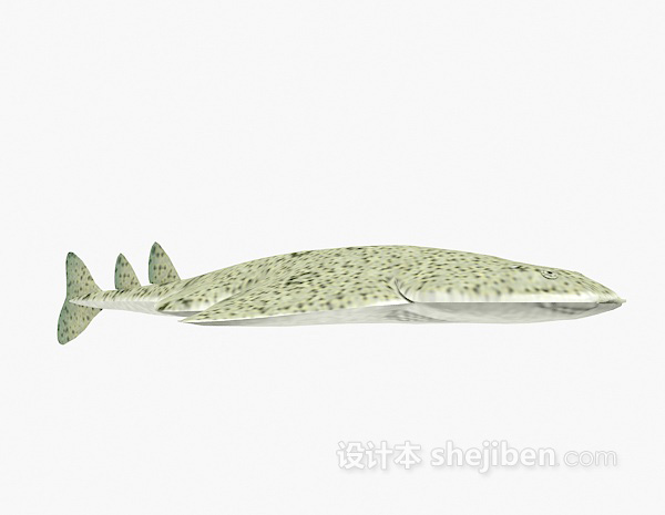 现代风格扁头鱼3d模型下载