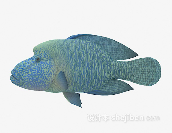 观赏鱼类3d模型下载