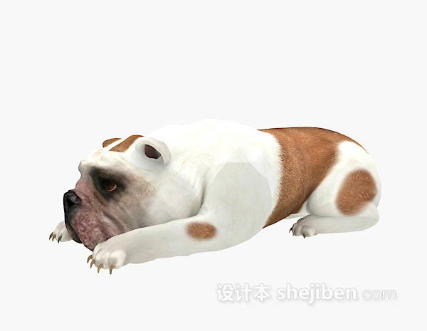 免费沙皮狗动物3d模型下载