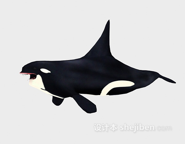 免费大鲨鱼3d模型下载