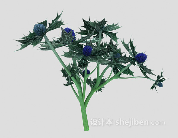 室外大叶植物3d模型下载