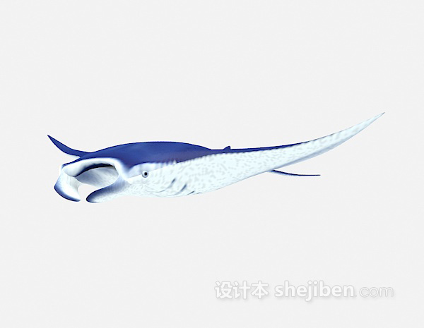 现代风格海鱼类3d模型下载