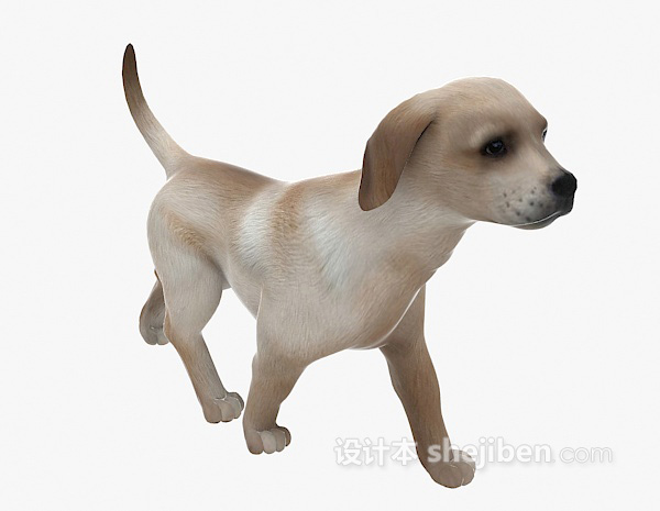 设计本小狗动物3d模型下载