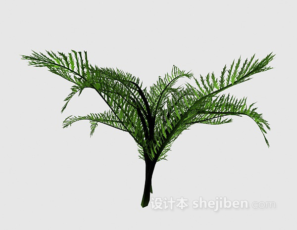 现代风格蕨类植物3d模型下载