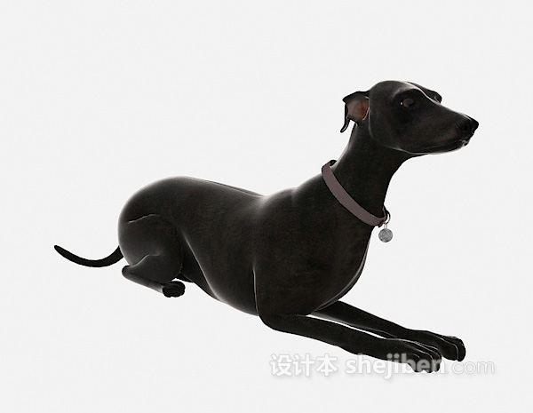 设计本黑色狗动物 3d模型下载