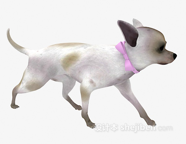 现代风格带项圈的狗动物 3d模型下载