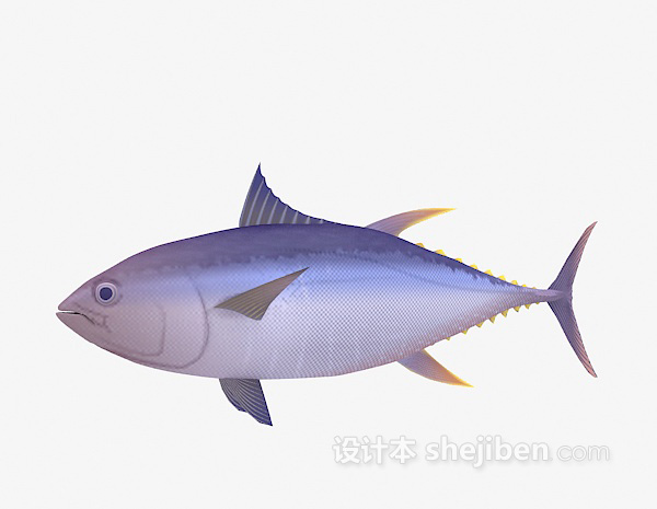 设计本大鱼3d模型下载