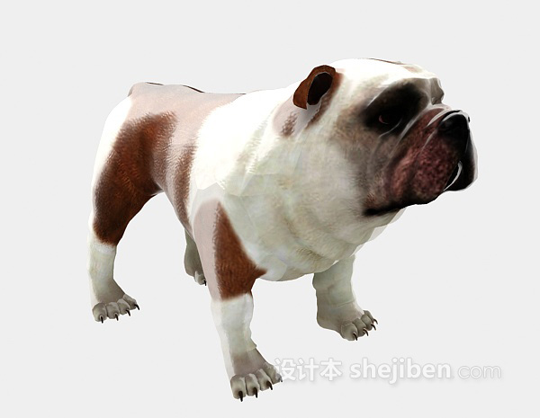 设计本沙皮狗动物 3d模型下载