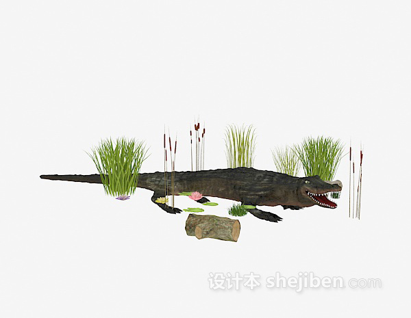 设计本鳄鱼3d模型下载
