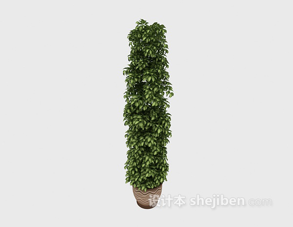 现代风格室内大型植物3d模型下载