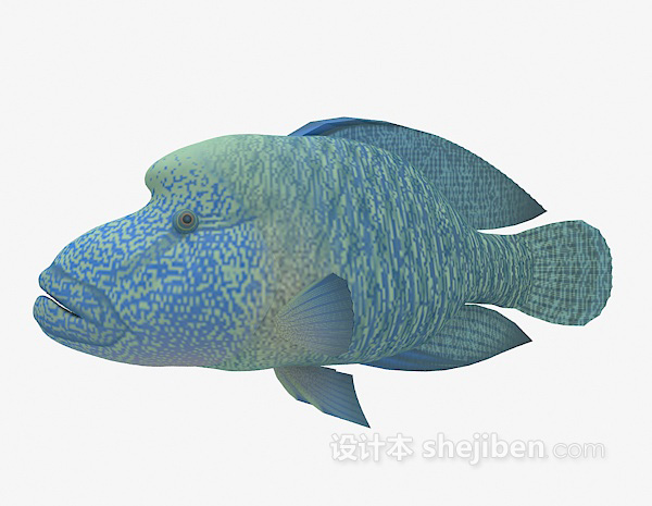 设计本观赏鱼类3d模型下载