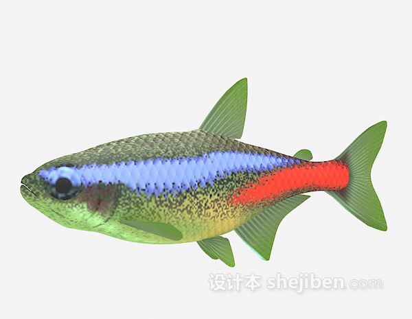 设计本彩色鱼3d模型下载