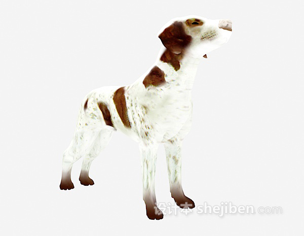设计本白色狗动物 3d模型下载